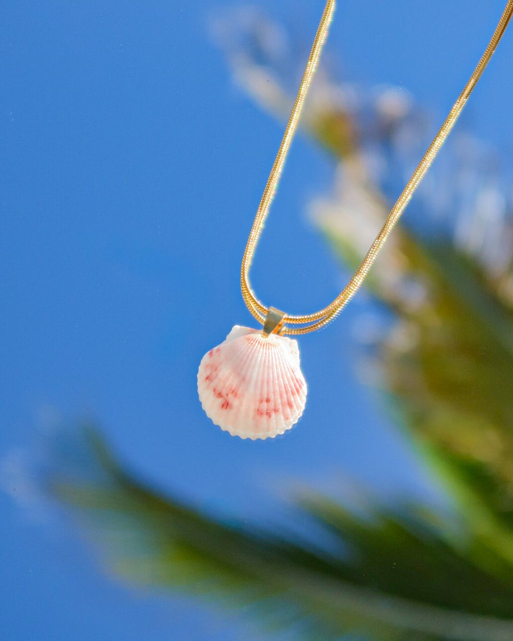Beachline Shell Necklace