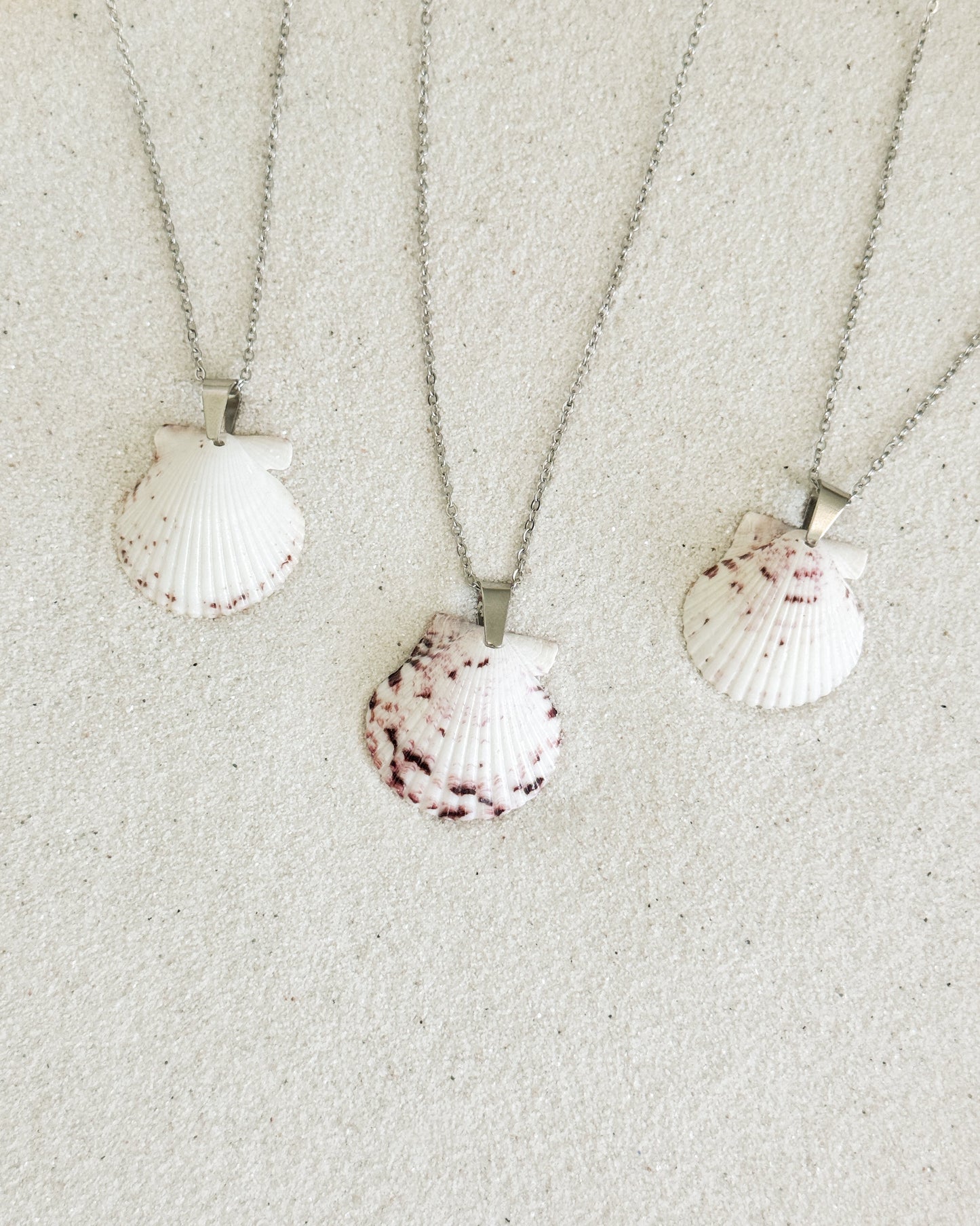 Dainty Silver Shell Necklace