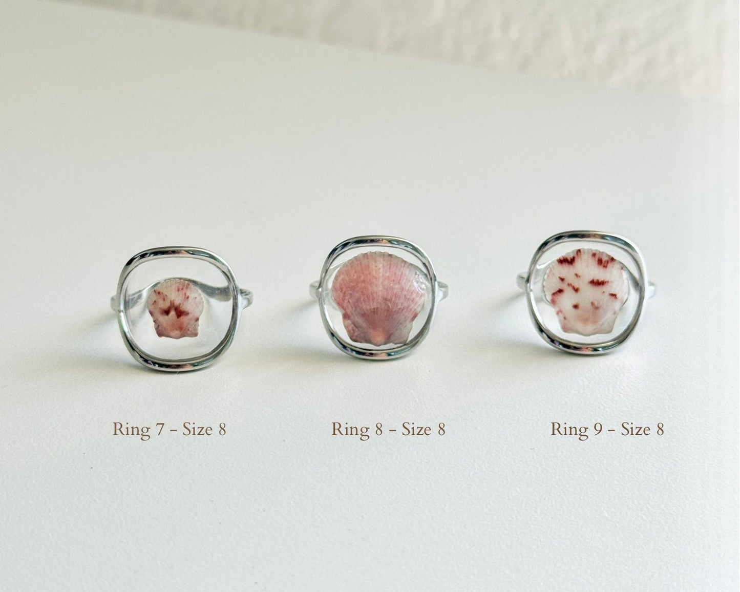 Silver Isla Shell Rings