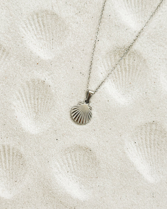 Silver Shell Necklace