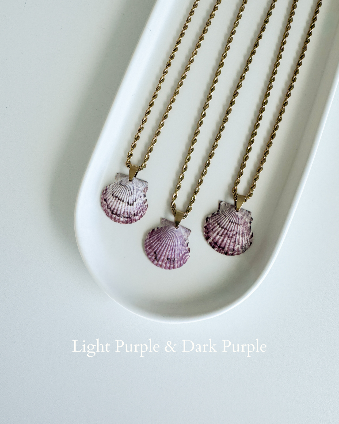 High Tide Shell Necklace