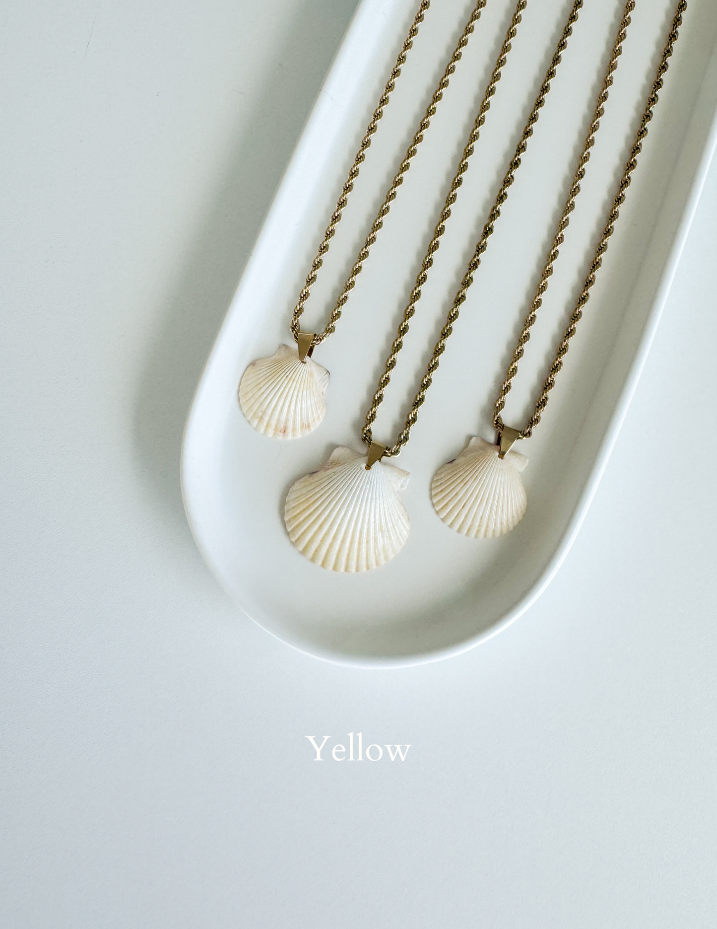High Tide Shell Necklace