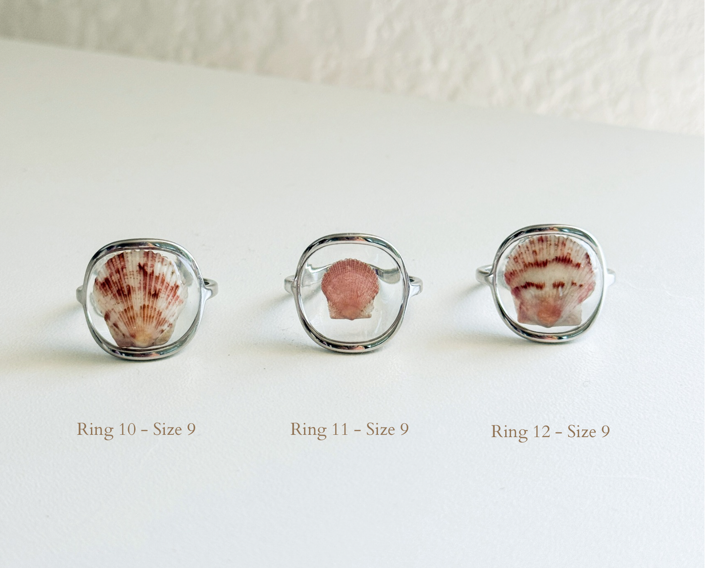 Silver Isla Shell Rings
