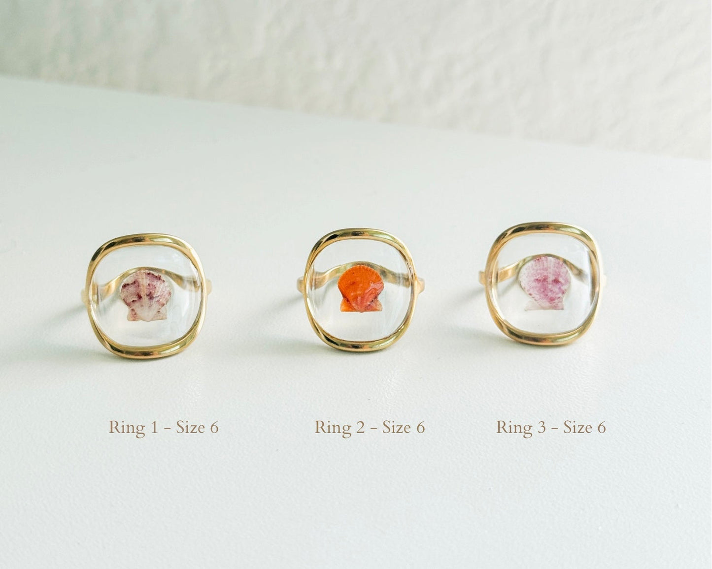 Gold Isla Shell Rings