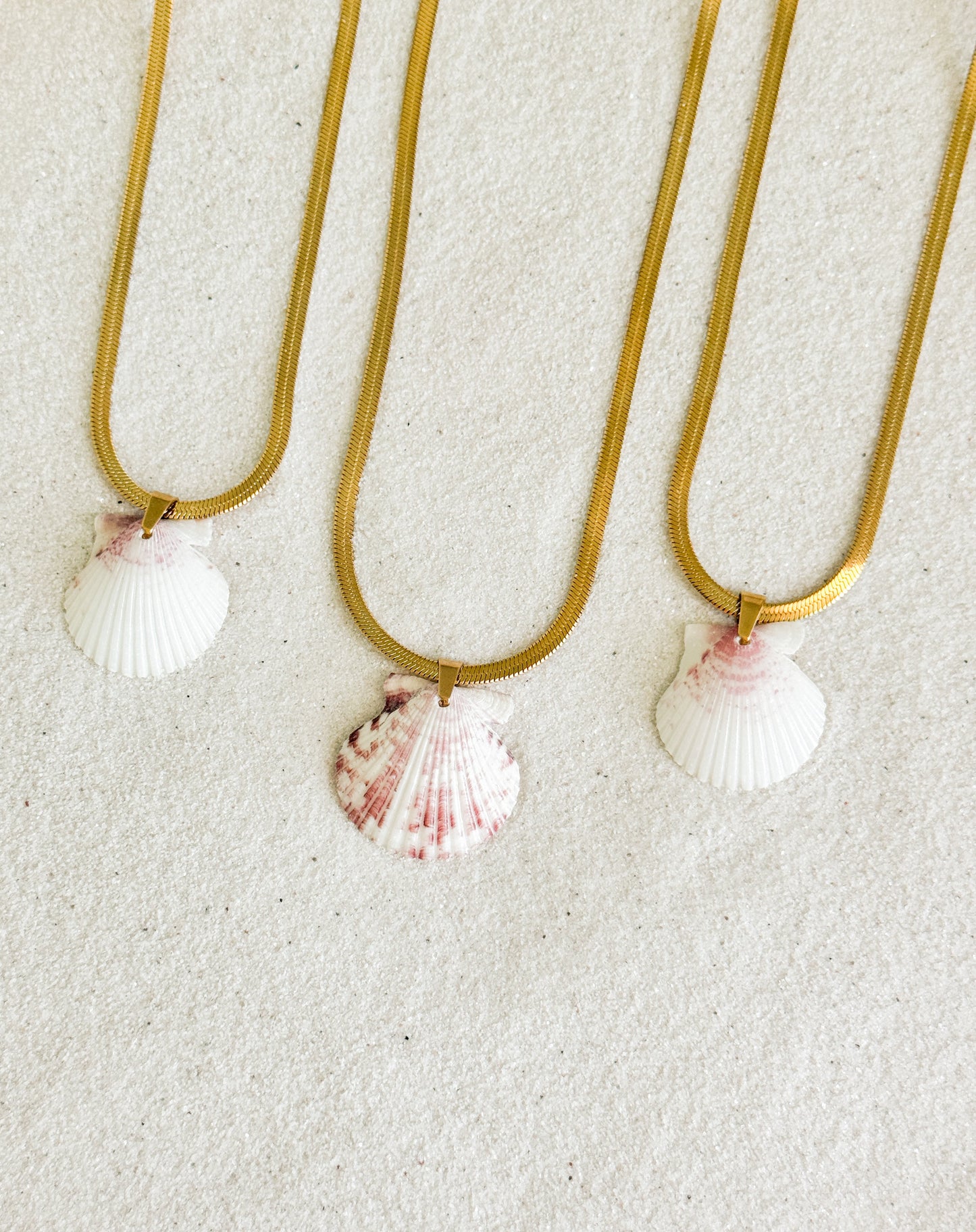 Coastline Shell Necklace