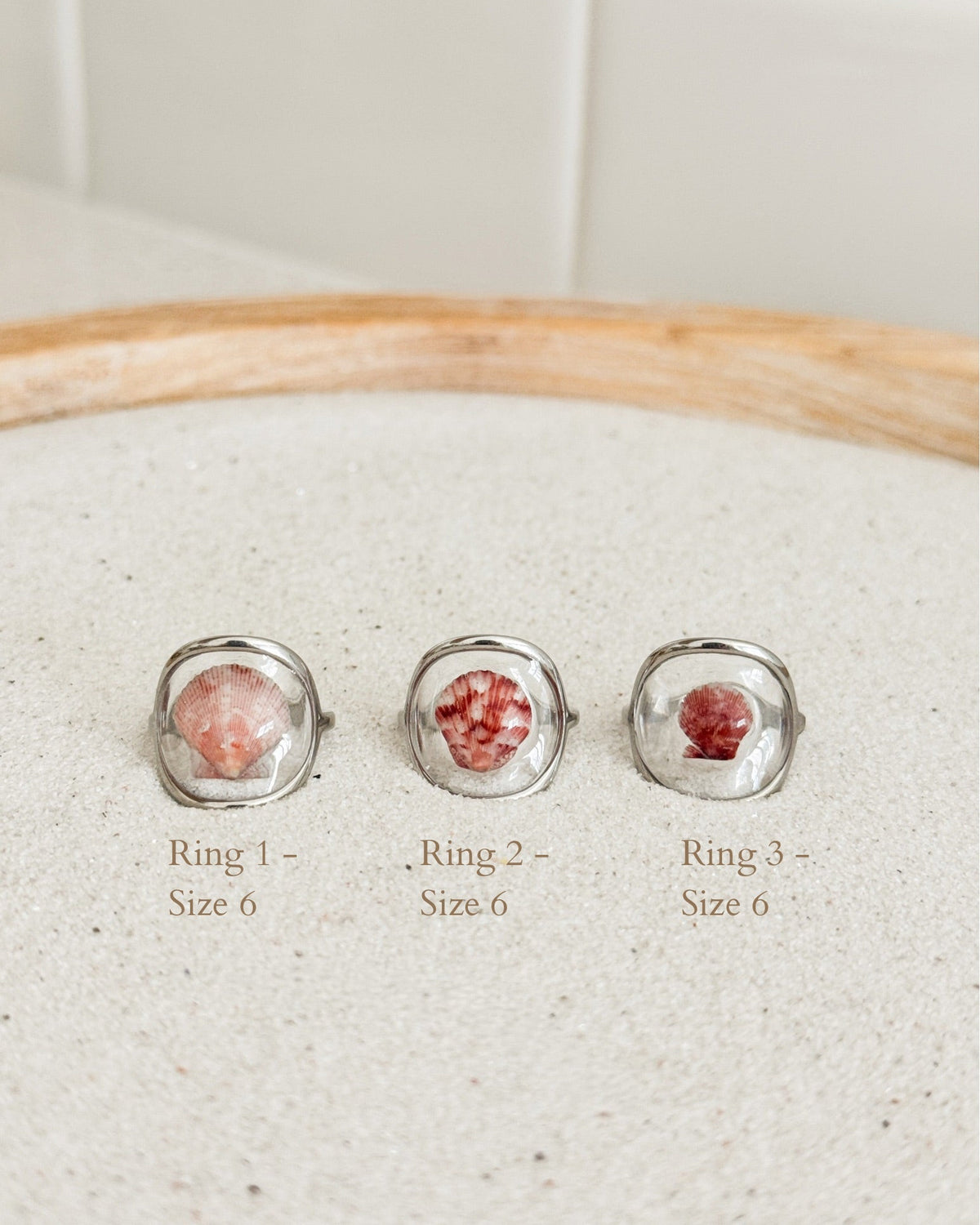 Silver Isla Shell Rings