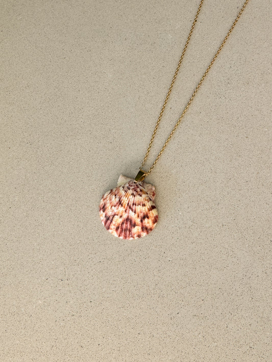 Dainty Shell Necklace