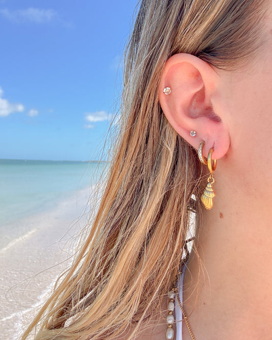 Conch Earrings