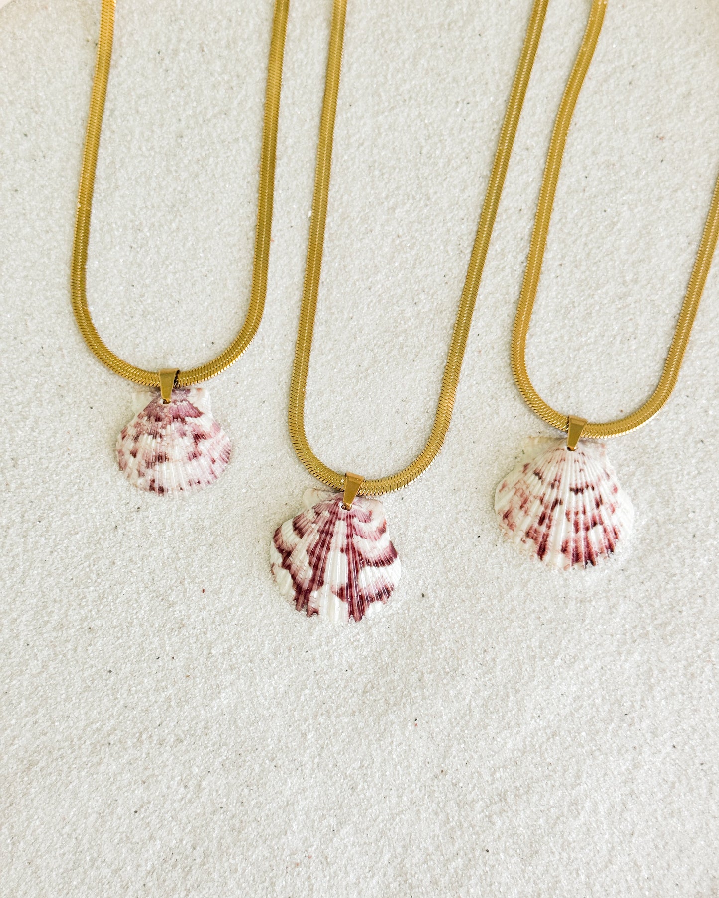 Coastline Shell Necklace
