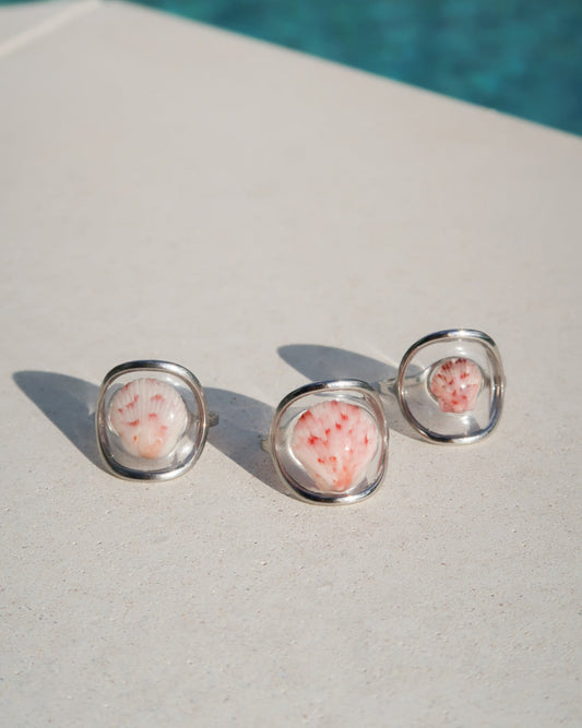Silver Isla Shell Rings