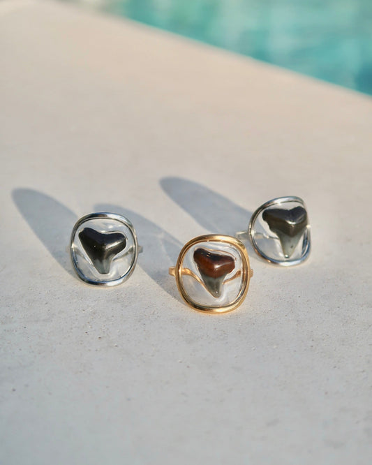 Shark Tooth Rings
