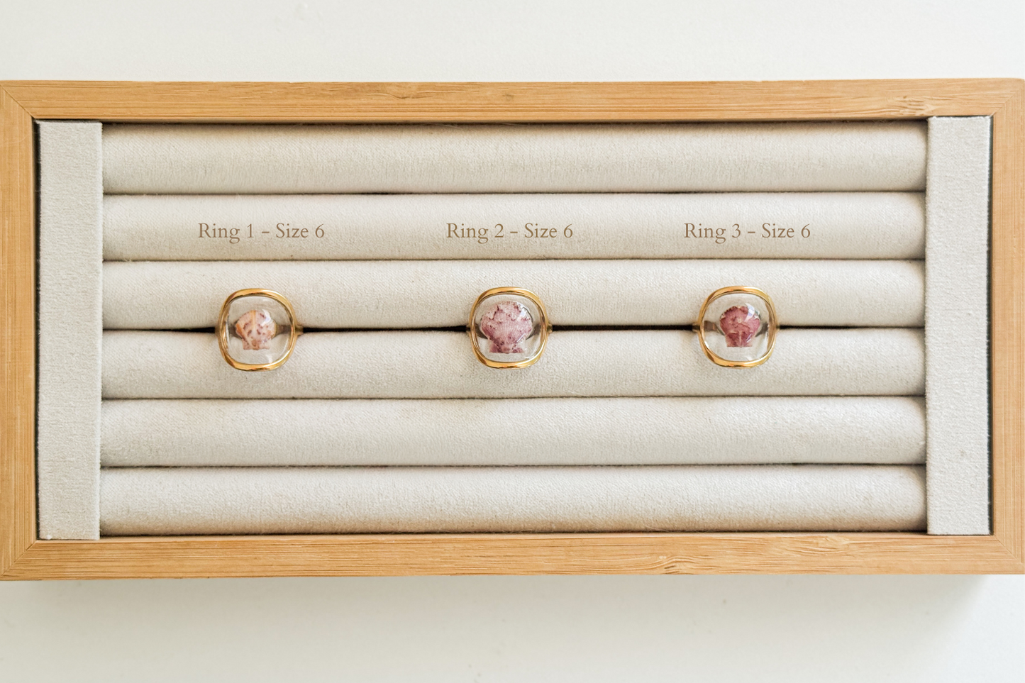 Gold Isla Shell Rings