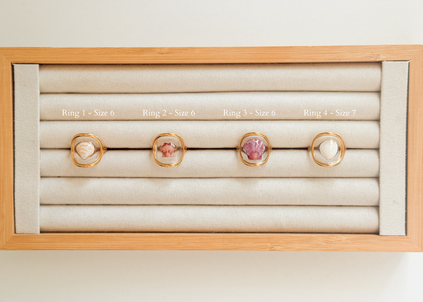 Gold Isla Shell Rings