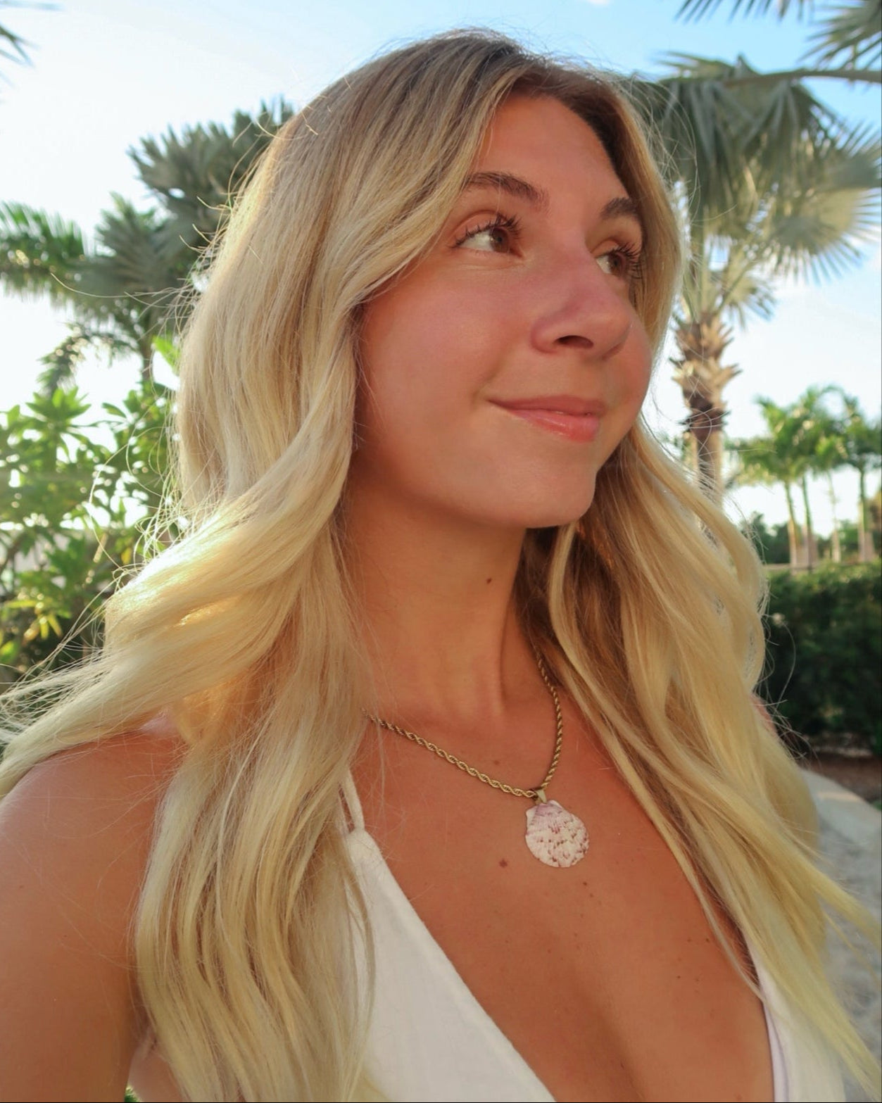 High Tide Shell Necklace