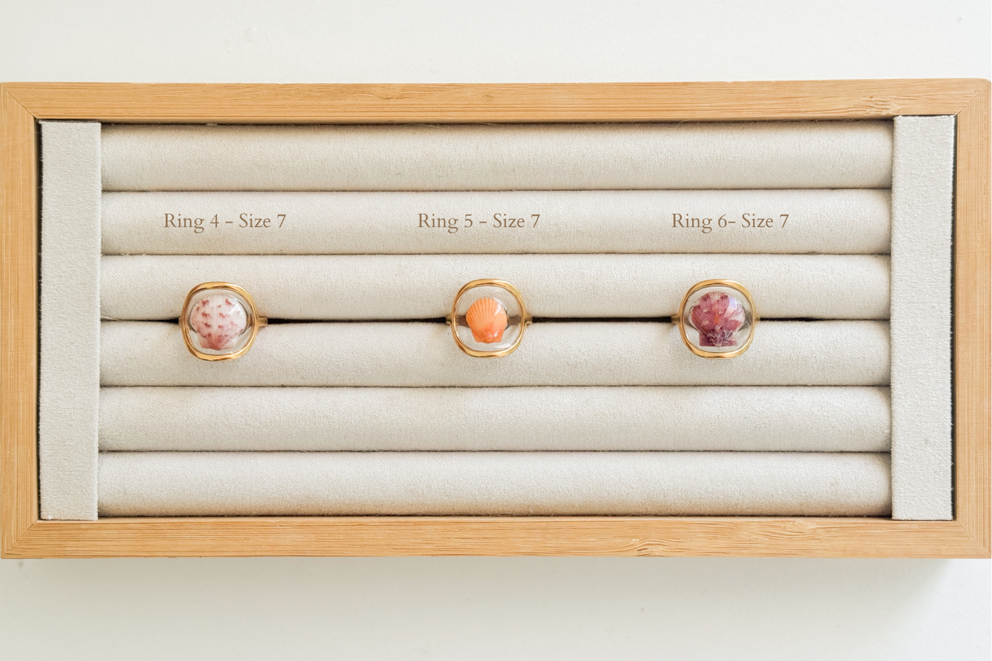 Gold Isla Shell Rings