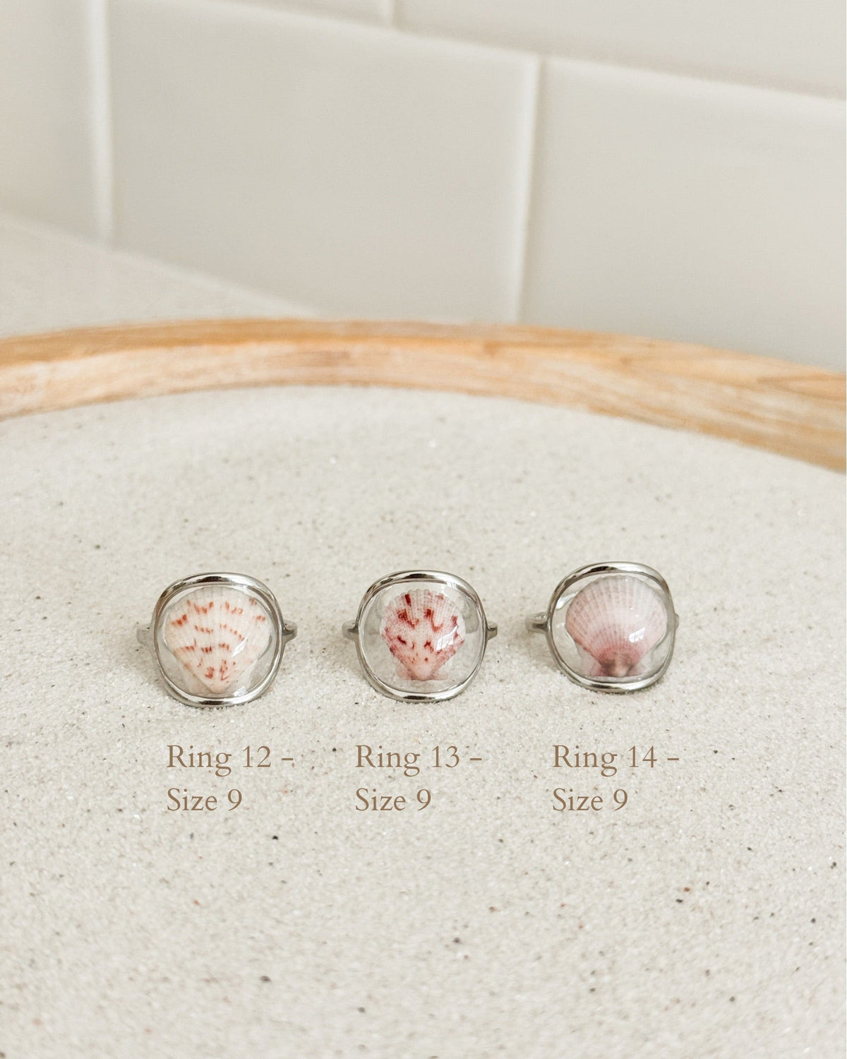 Silver Isla Shell Rings