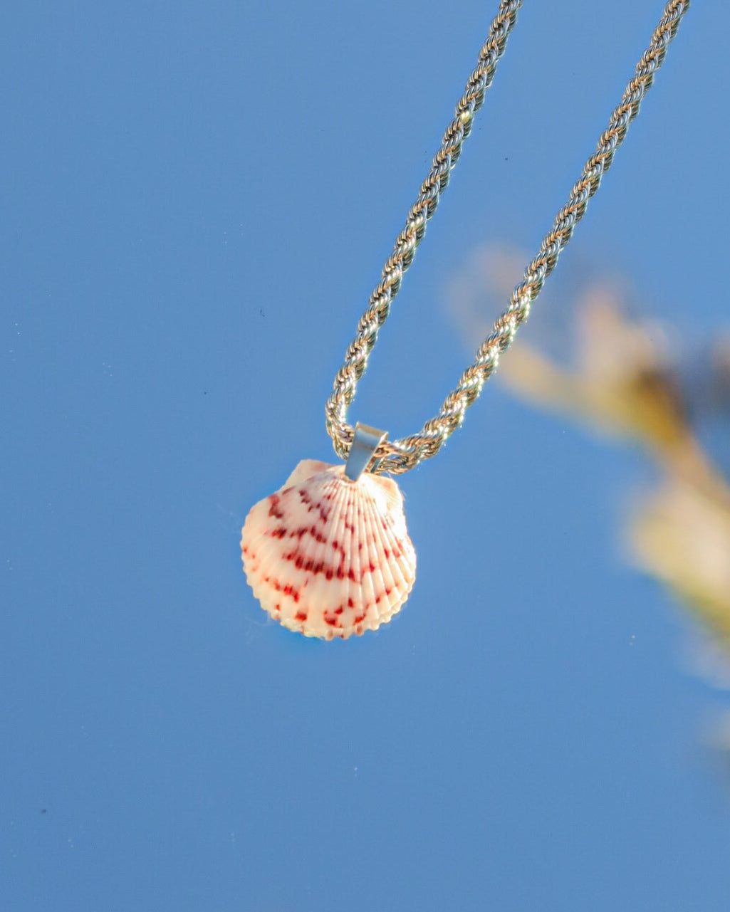 Low Tide Shell Necklace