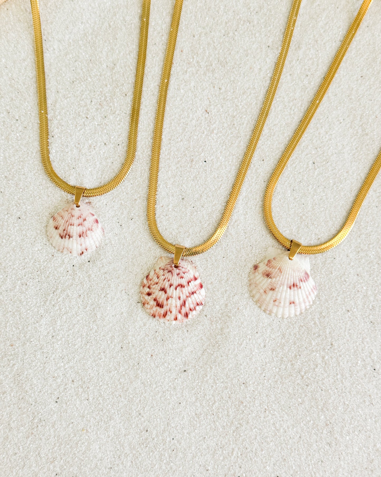 Coastline Shell Necklace