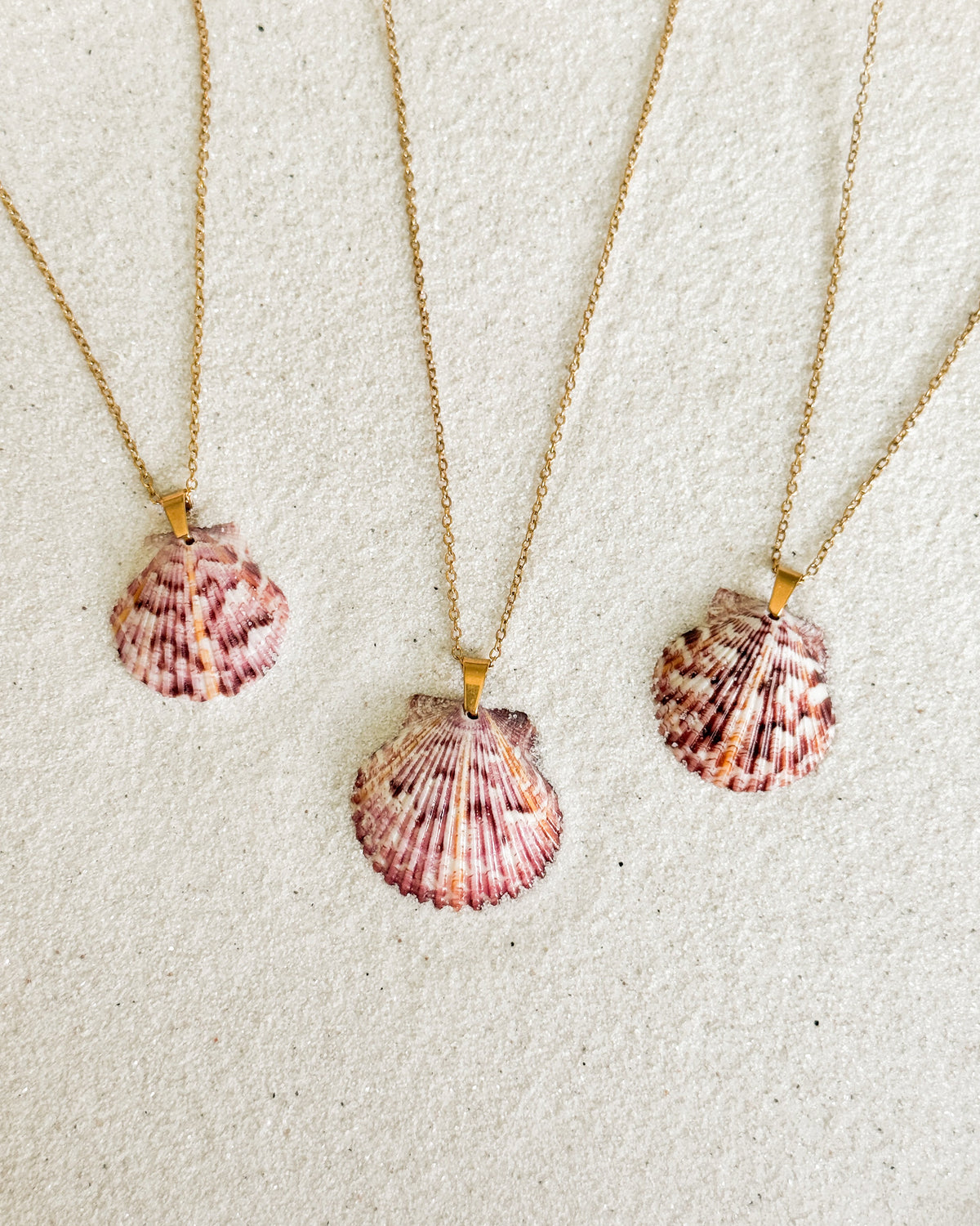 Dainty Gold Shell Necklace