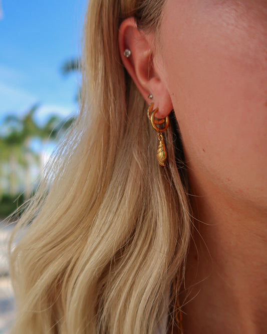 Conch Earrings