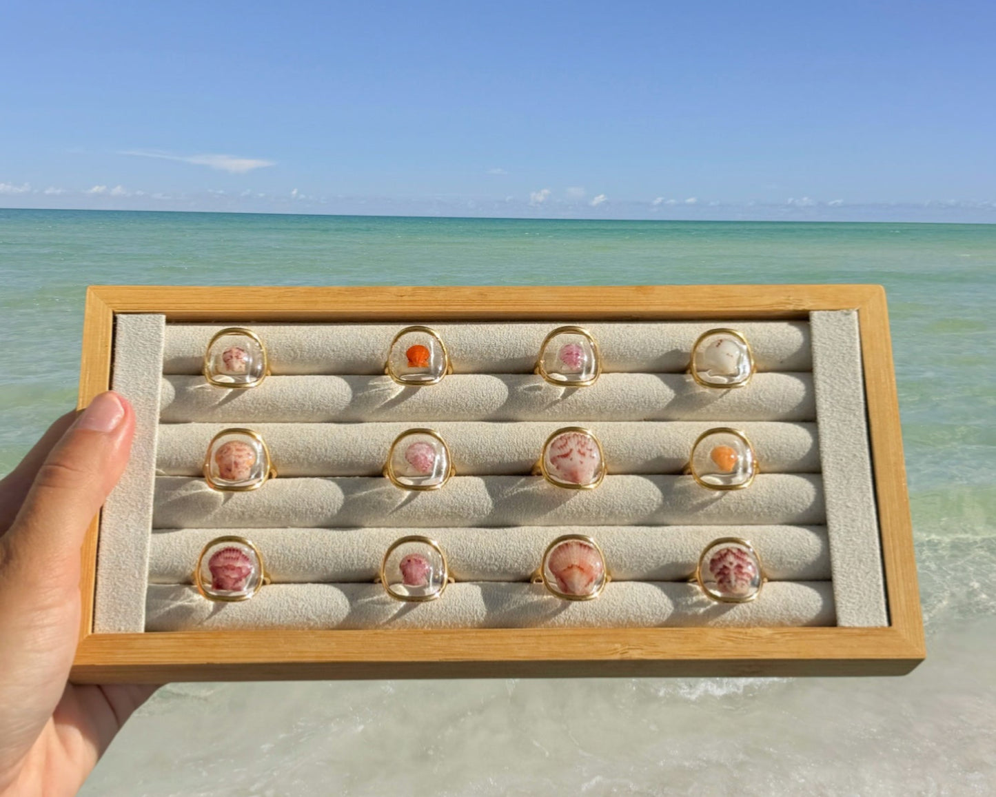 Gold Isla Shell Rings