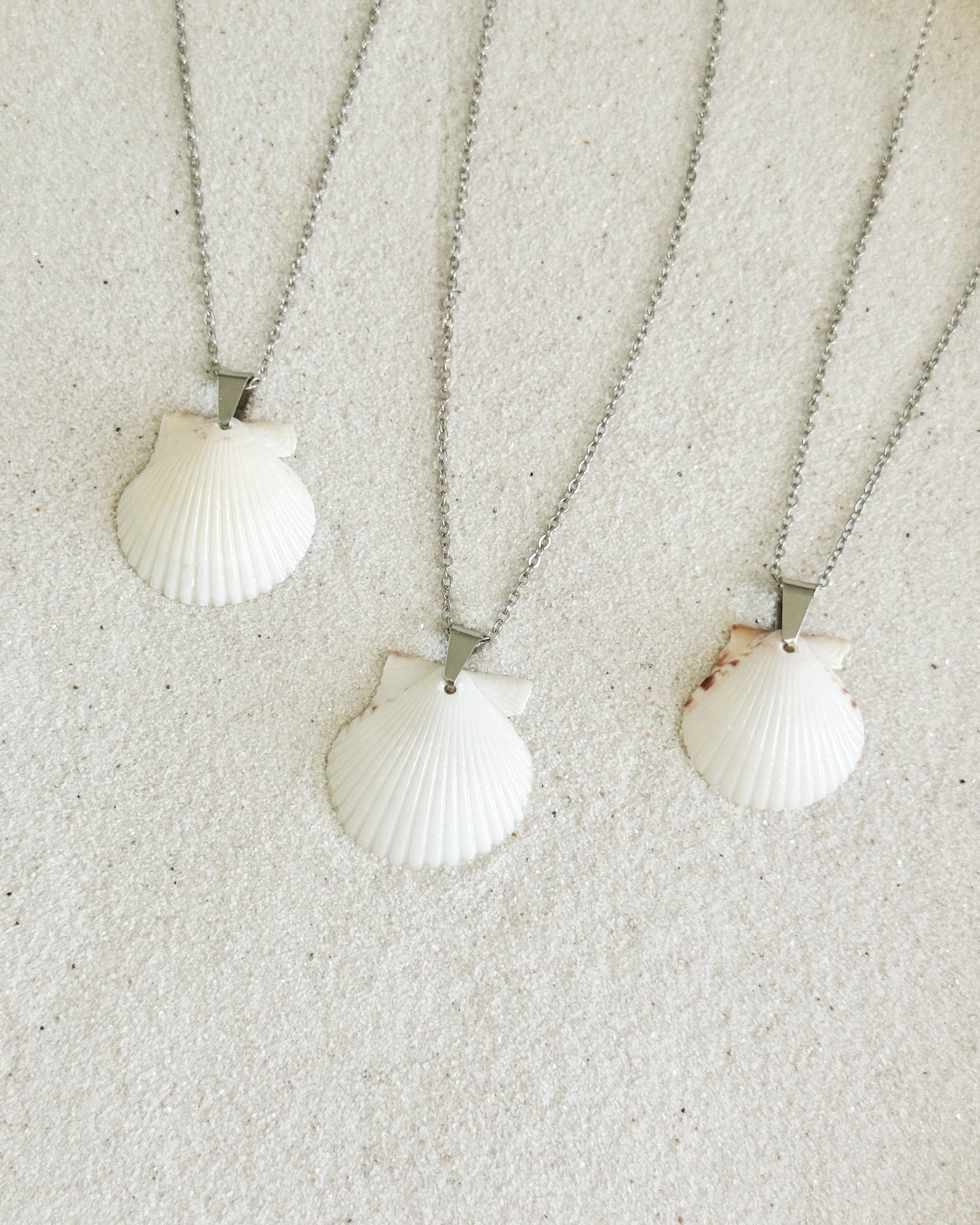 Dainty Silver Shell Necklace