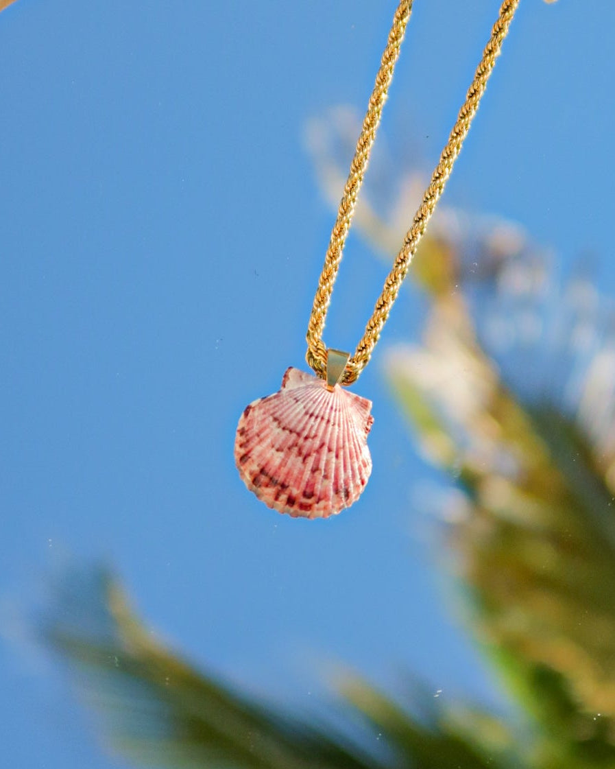 High Tide Shell Necklace