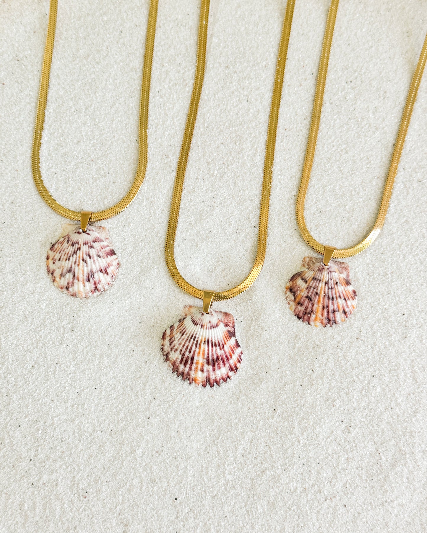 Coastline Shell Necklace
