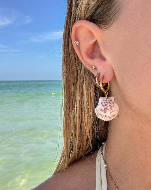 Shell Earrings