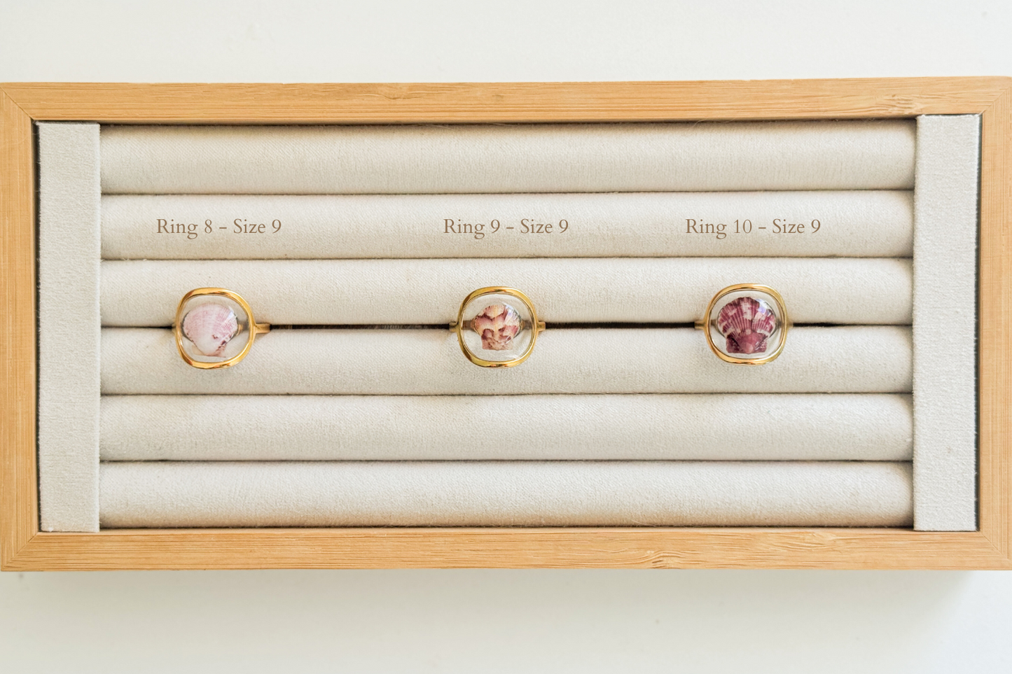 Gold Isla Shell Rings