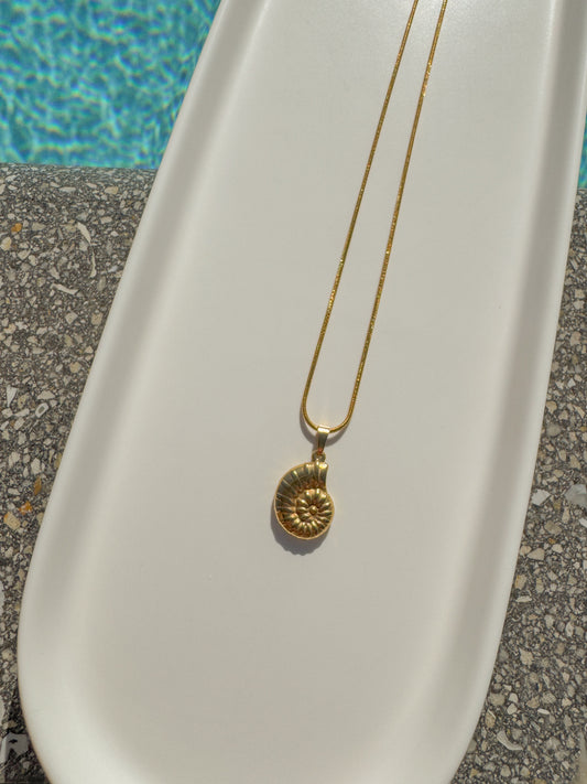 Nautilus Necklace