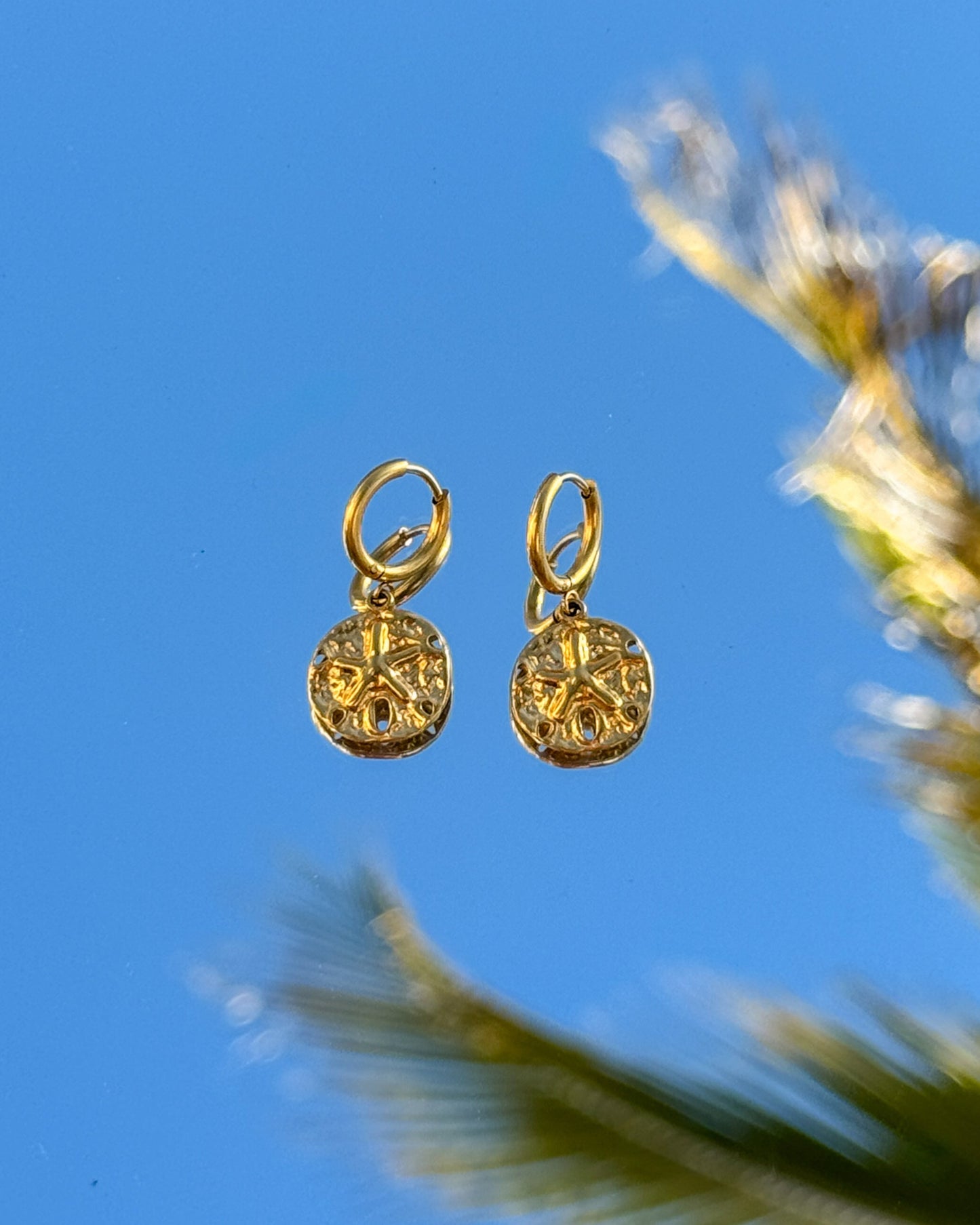 Sand Dollar Earrings