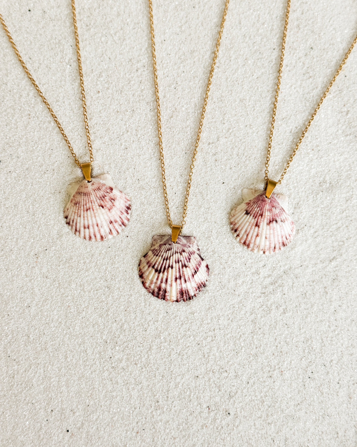Dainty Gold Shell Necklace