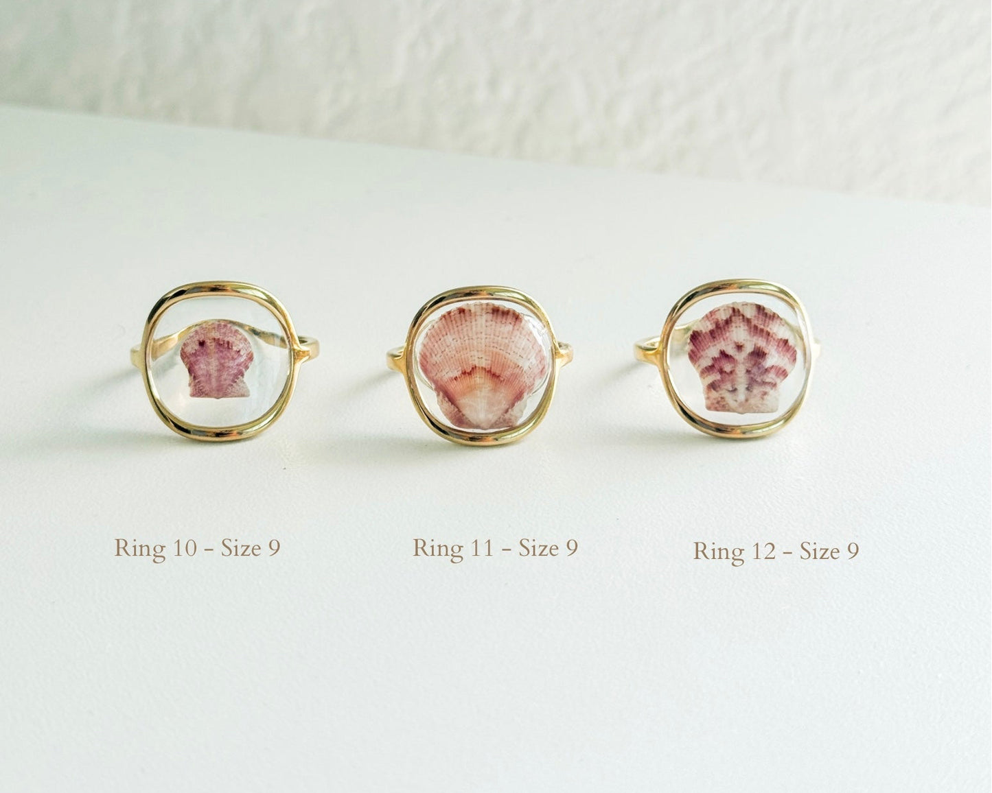 Gold Isla Shell Rings