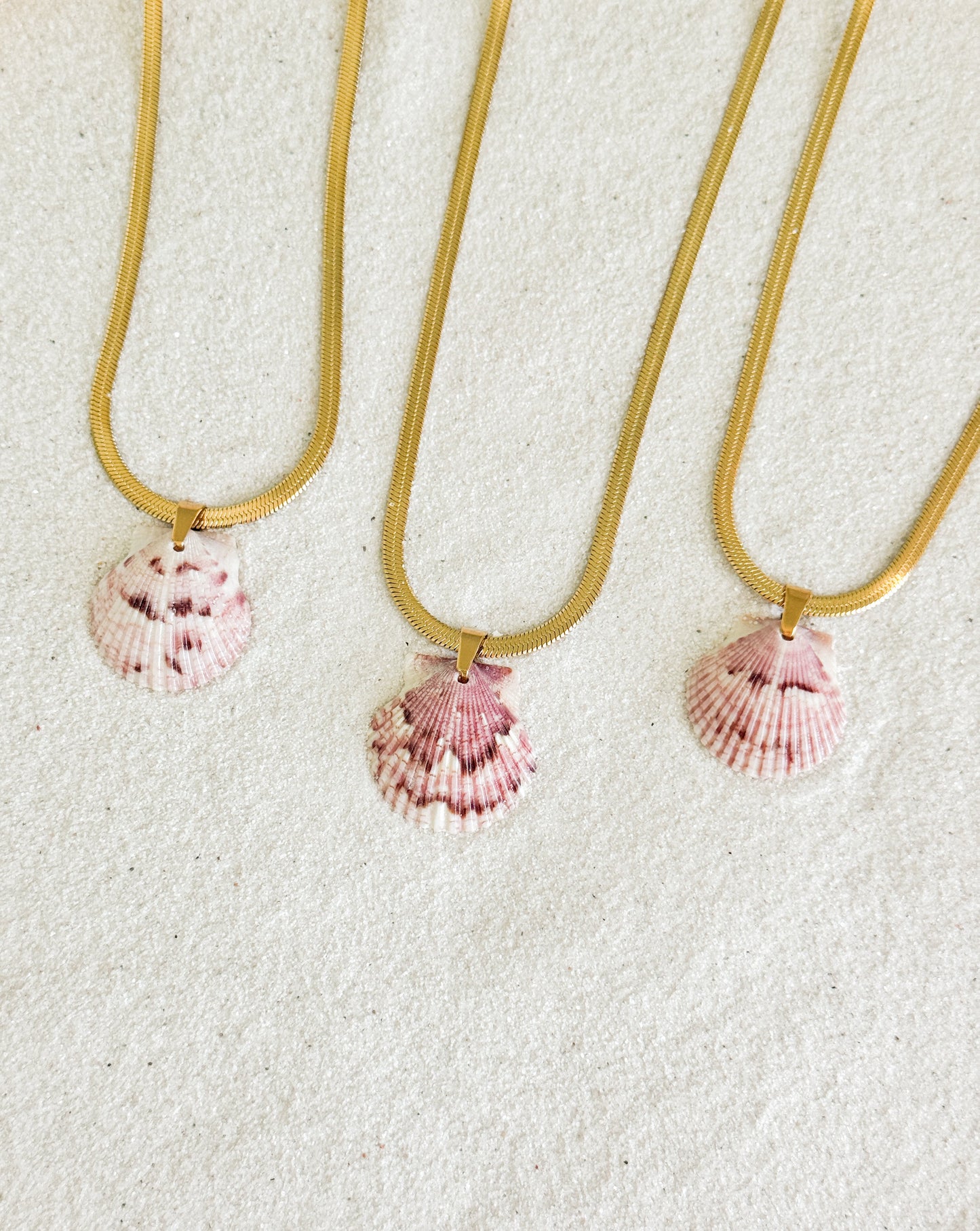 Coastline Shell Necklace