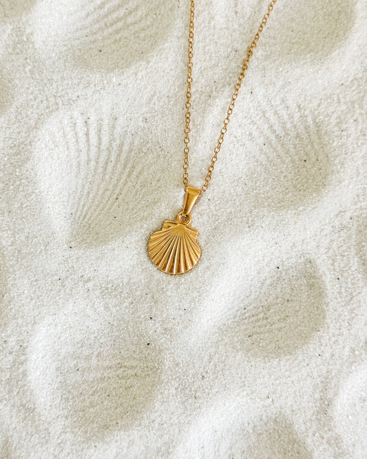 Gold Shell Necklace
