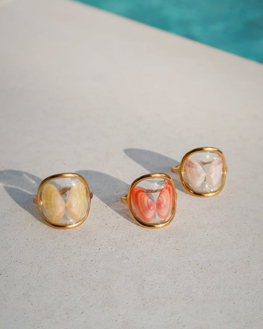 Coquina Shell Rings