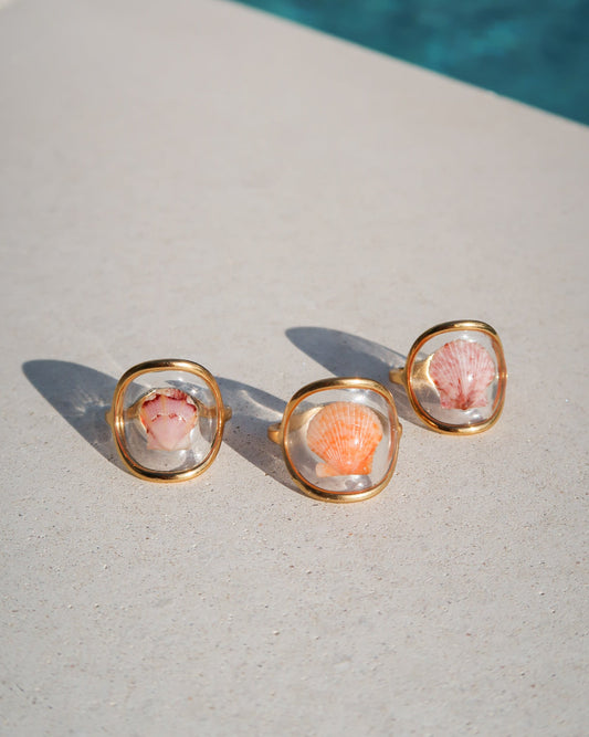 Gold Isla Shell Rings