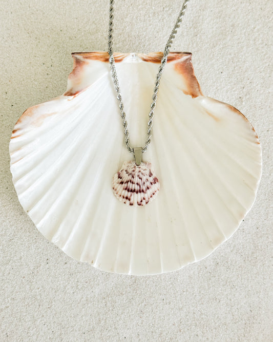 Low Tide Shell Necklace