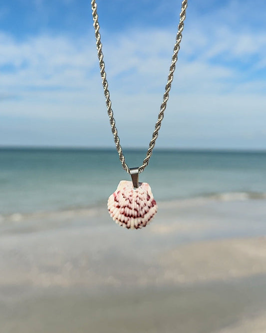 Low Tide Shell Necklace