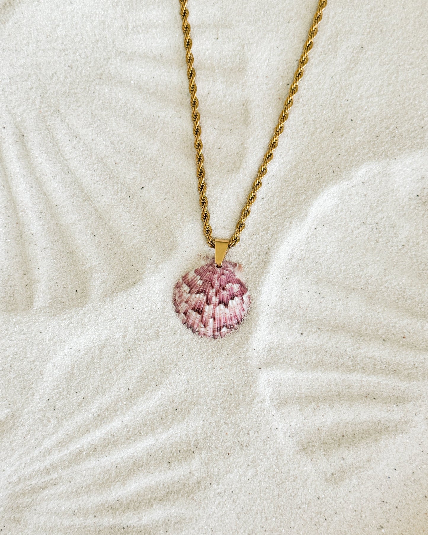 High Tide Shell Necklace