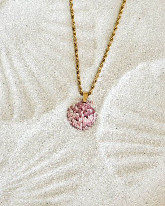 High Tide Shell Necklace