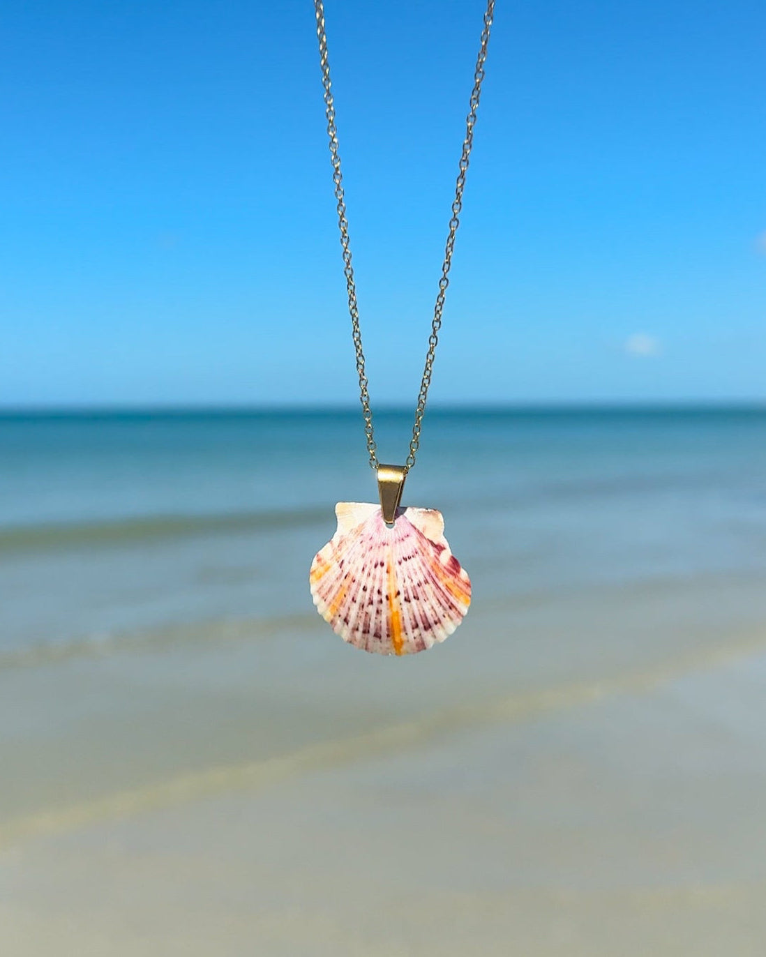 Dainty Shell Necklace
