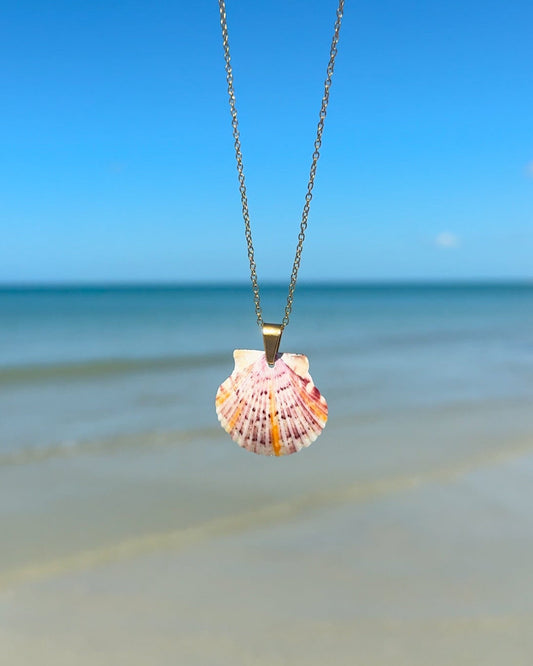 Dainty Shell Necklace