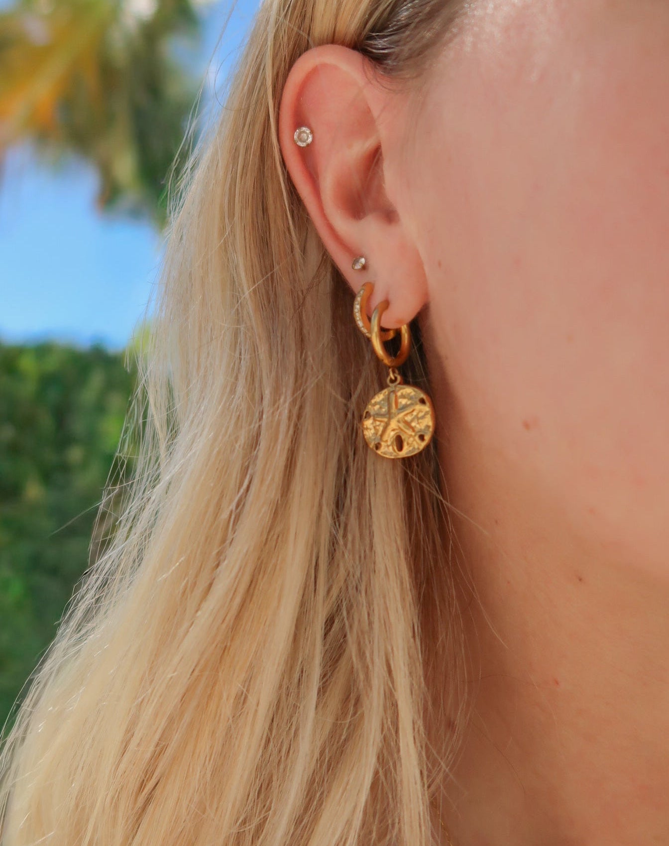Sand Dollar Earrings