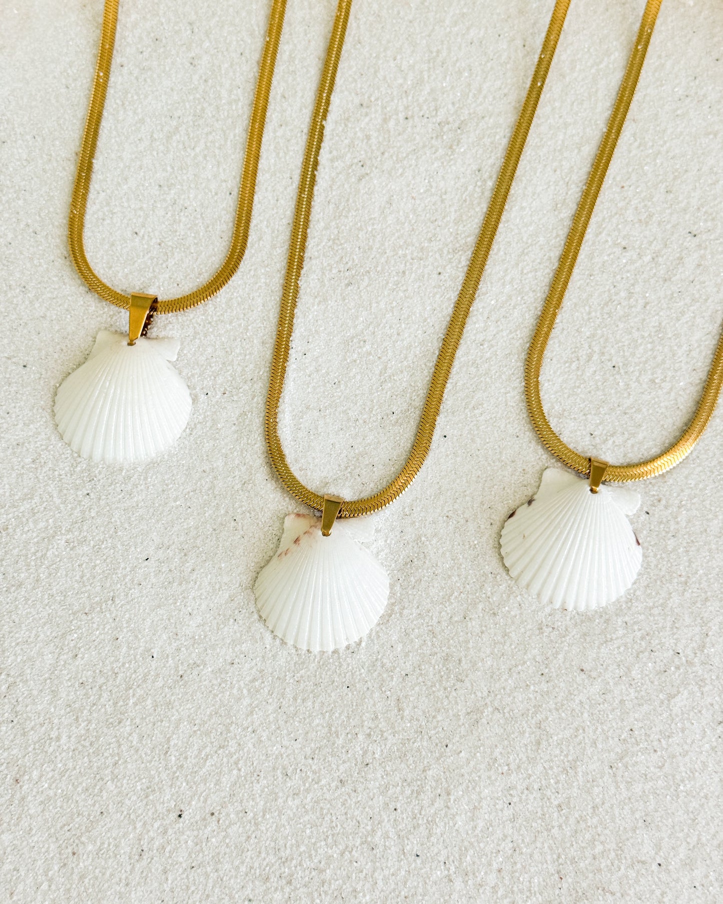 Coastline Shell Necklace