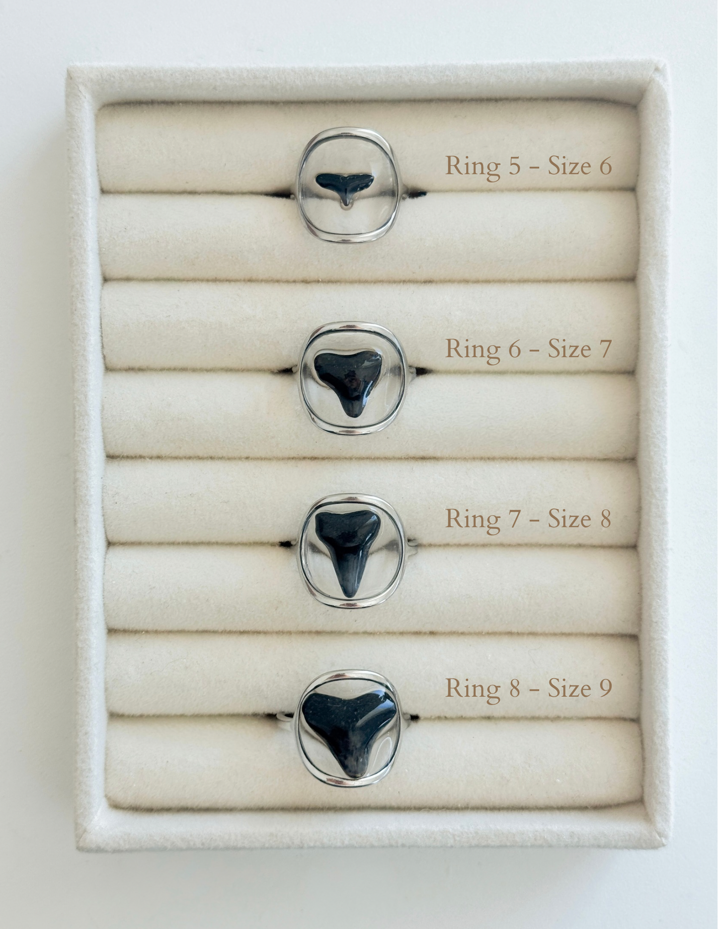 Shark Tooth Rings