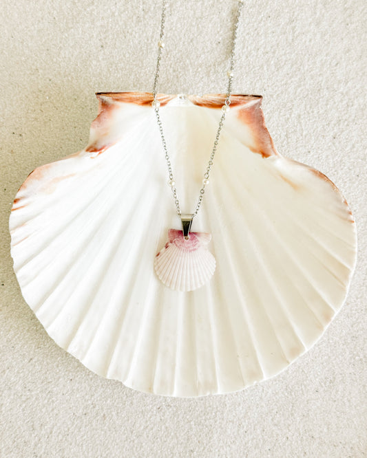 Dainty Pearl Silver Shell Necklace
