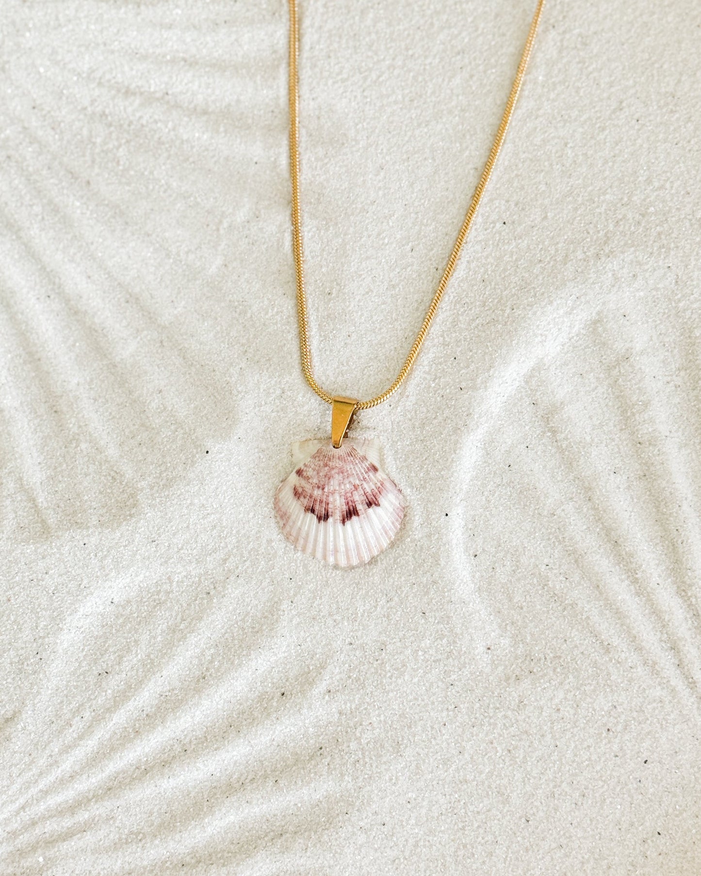 Beachline Shell Necklace