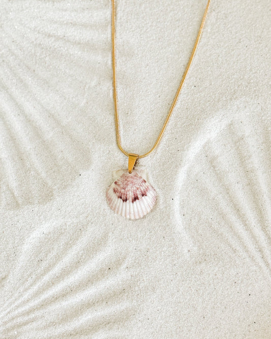 Beachline Shell Necklace